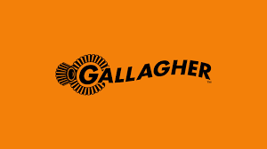 Gallagher Glimpses Future