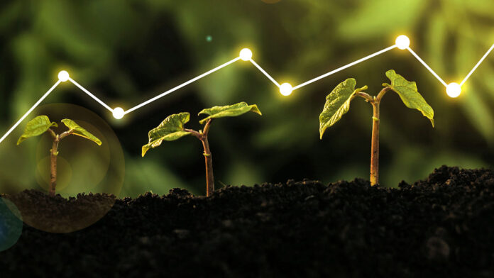 Strong Tender Releases Bolster 2024