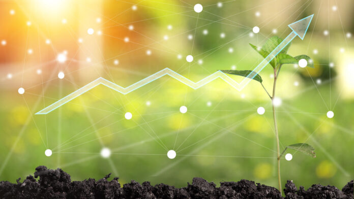 Australian Interest Rates To Fall Q4