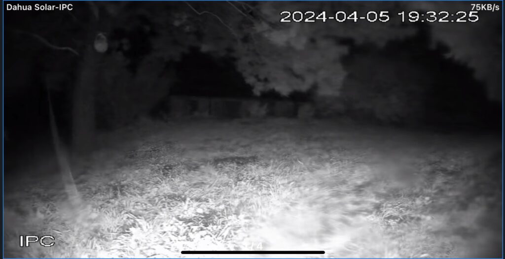 Possum Highlights Alarm CCTV Importance 5