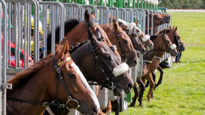 SecTech Western Sydney Opens Today