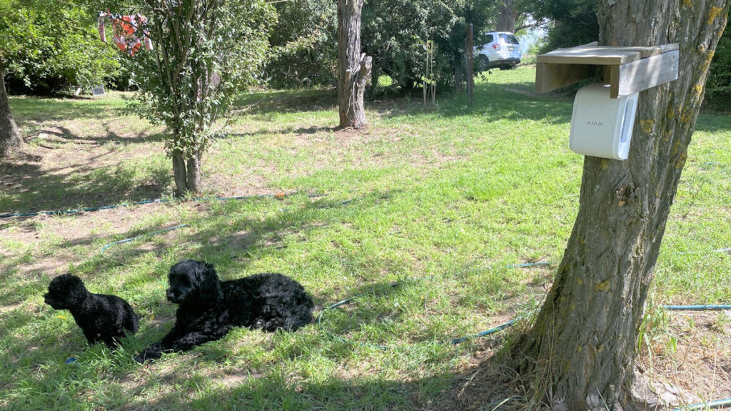 Troubleshooting A Swinging Ajax Curtain Sensor