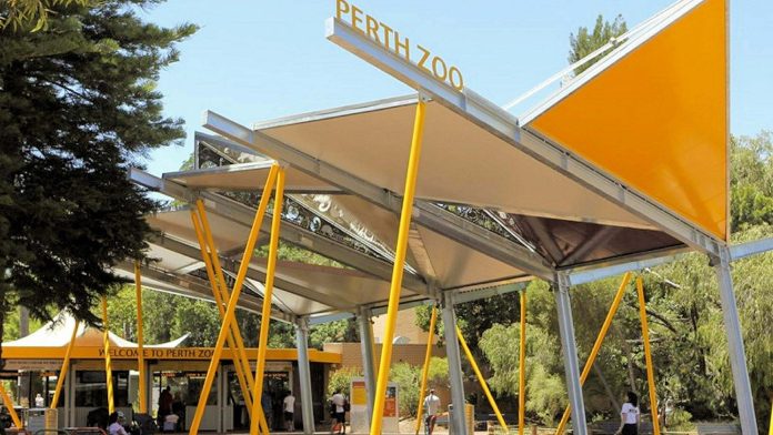 Vibrant Wins Perth Zoo
