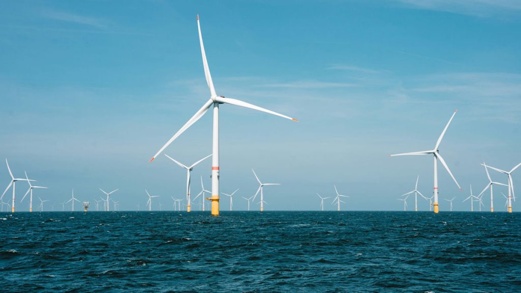 Blue Mackerel North Seeks Site Security