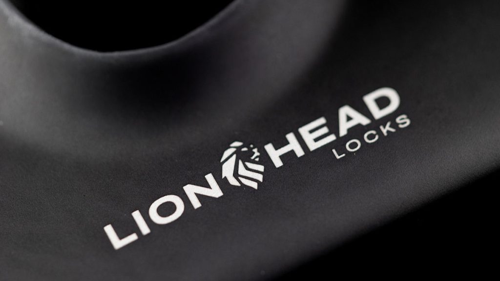 New Lionhead Carlisle Smart Lock 2 New Lionhead Carlisle Smart Lock