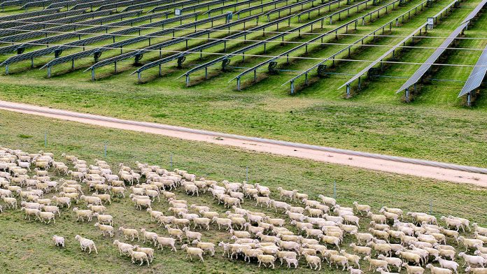 CCTV For Blind Creek Solar Farm and Battery