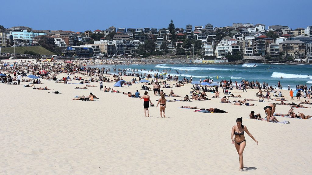 Waverley Council Seeks CCTV