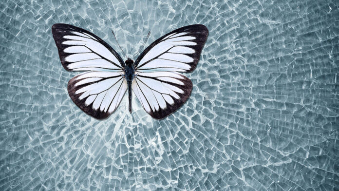 Glasswing Highlights Risk AI Poses