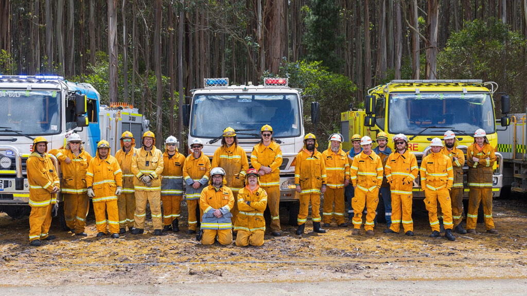 Fire Camera System Sought By Green Triangle 1 Fire Camera System Sought By Green Triangle
