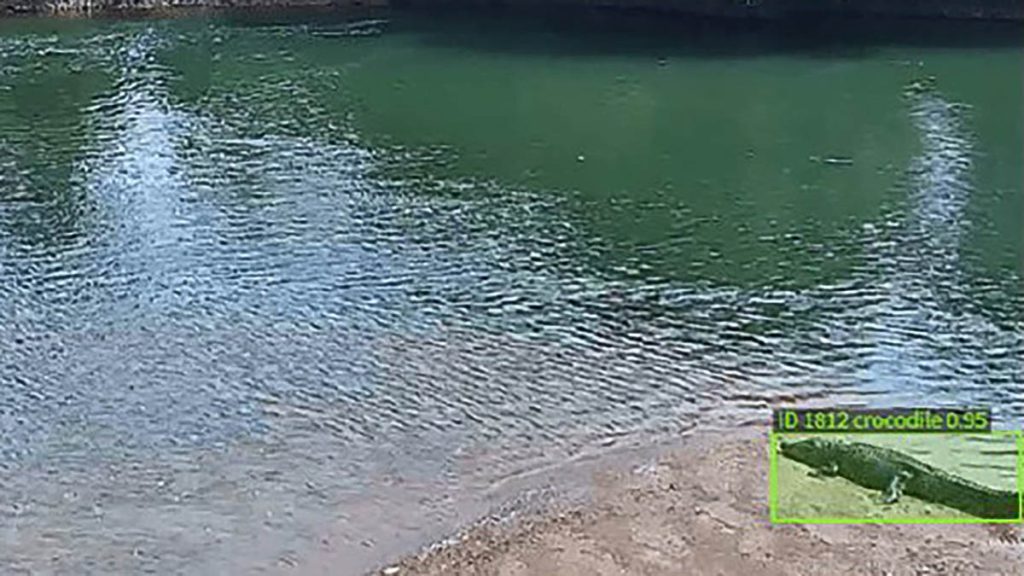 MCS Delivers Trailer for Crocodile Detection Project